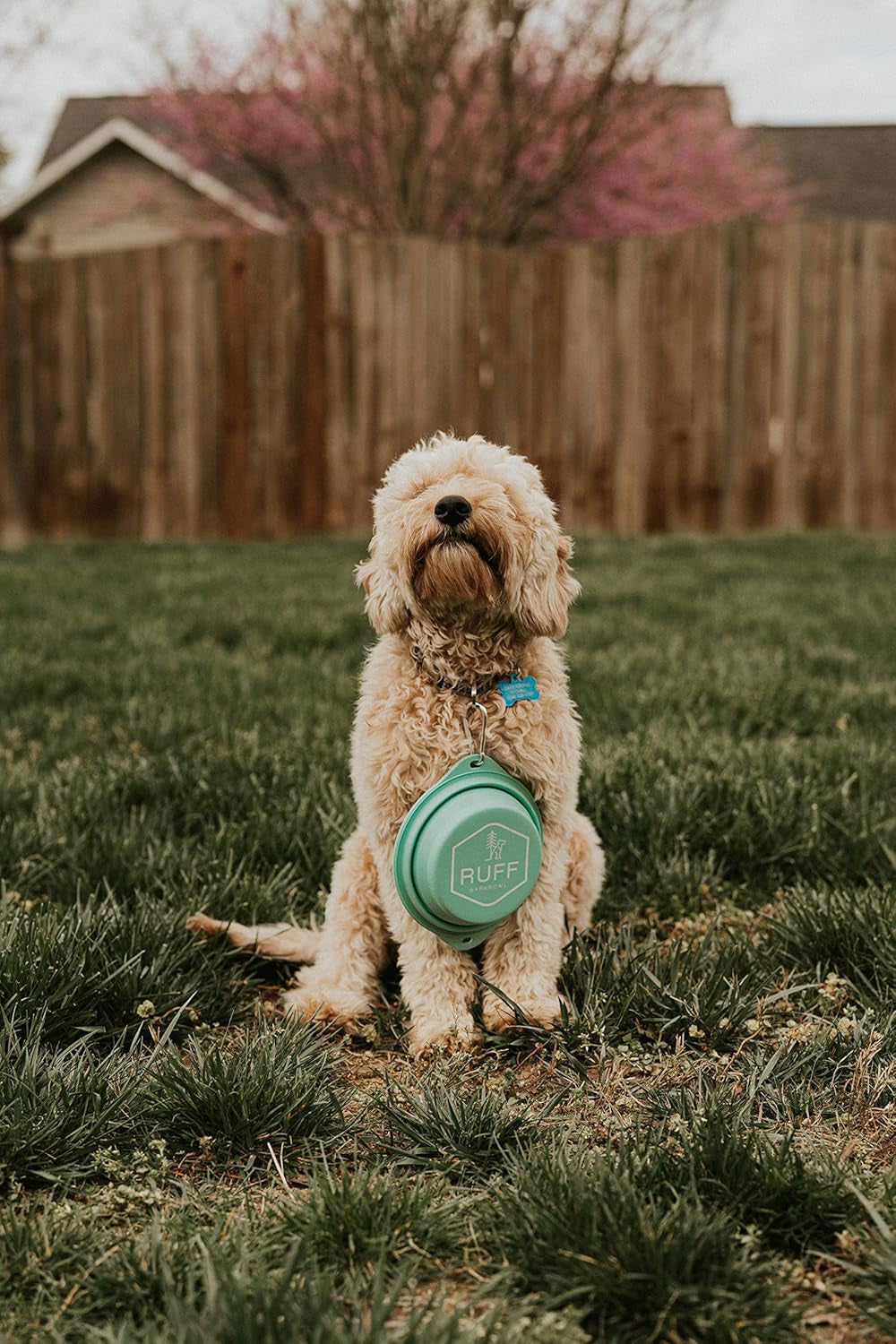 Barkbowl (800Ml) - Collapsible Dog Bowl (Tiffany Blue) Premium Quality, Platinum-Cured Food Grade Silicone, No Plastic Rim, Food Safe, Large Travel Bowl